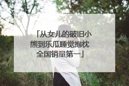 从女儿的破旧小熊到乐瓜睡觉抱枕全国销量第一