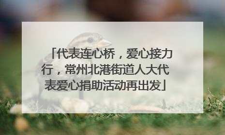 代表连心桥，爱心接力行，常州北港街道人大代表爱心捐助活动再出发