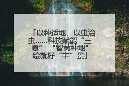 以种适地、以虫治虫……科技赋能“三夏” “智慧种地”绘就好“丰”景