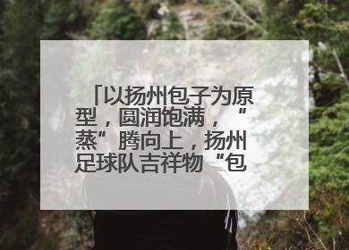 以扬州包子为原型，圆润饱满，“蒸”腾向上，扬州足球队吉祥物“包赢”亮相即售罄