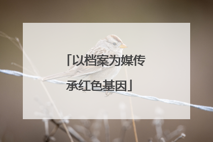 以档案为媒传承红色基因