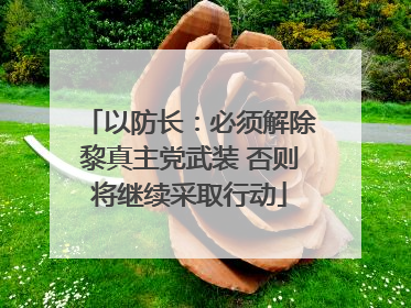 以防长：必须解除黎真主党武装 否则将继续采取行动