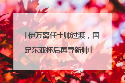 伊万离任土帅过渡，国足东亚杯后再寻新帅