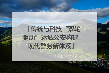 传统与科技“双轮驱动”冰城公安构建现代警务新体系
