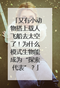 又有小动物搭上载人飞船去太空了！为什么模式生物能成为“探索代表”？