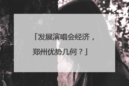 发展演唱会经济，郑州优势几何？