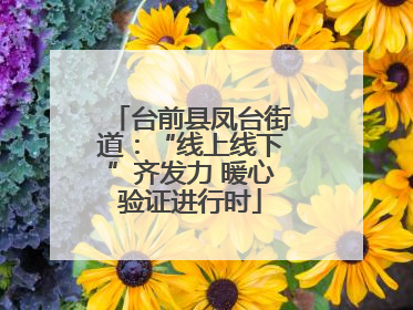 台前县凤台街道：“线上线下”齐发力 暖心验证进行时