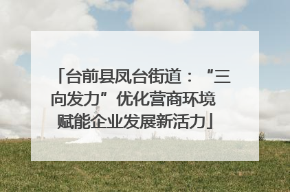台前县凤台街道：“三向发力”优化营商环境 赋能企业发展新活力