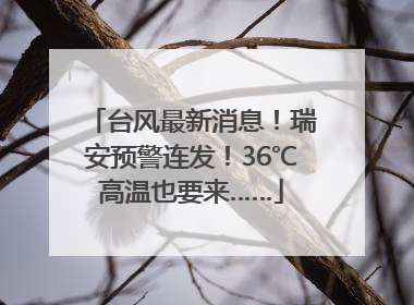 台风最新消息！瑞安预警连发！36℃高温也要来……