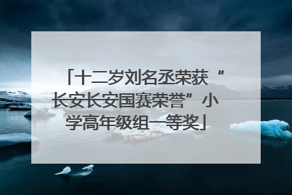 十二岁刘名丞荣获“长安长安国赛荣誉”小学高年级组一等奖