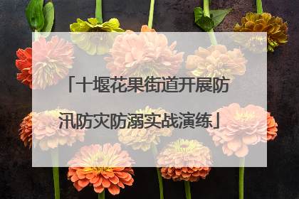 十堰花果街道开展防汛防灾防溺实战演练