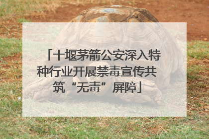 十堰茅箭公安深入特种行业开展禁毒宣传共筑“无毒”屏障