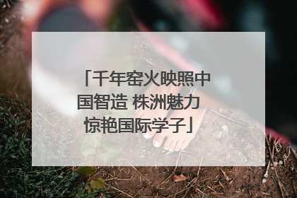 千年窑火映照中国智造 株洲魅力惊艳国际学子