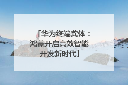华为终端龚体：鸿蒙开启高效智能开发新时代