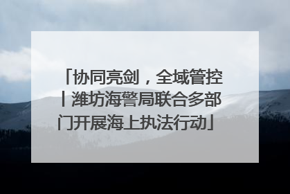 协同亮剑，全域管控丨潍坊海警局联合多部门开展海上执法行动