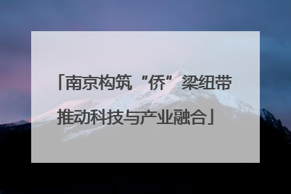 南京构筑“侨”梁纽带推动科技与产业融合