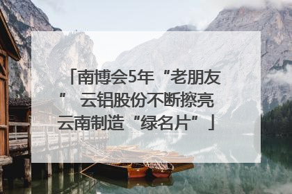 南博会5年“老朋友” 云铝股份不断擦亮云南制造“绿名片”
