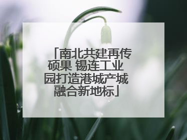 南北共建再传硕果 锡连工业园打造港城产城融合新地标
