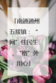 南通通州五接镇：“网”住民生，“格”外用心