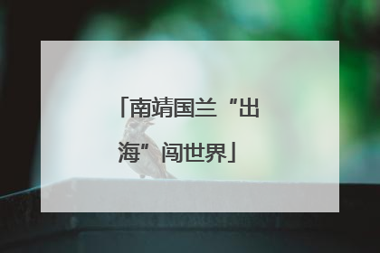南靖国兰“出海”闯世界