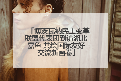 博茨瓦纳民主变革联盟代表团到访湖北嘉鱼 共绘国际友好交流新画卷