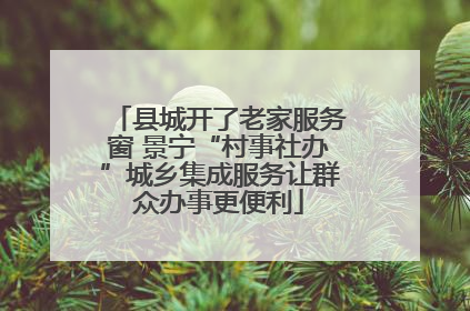 县城开了老家服务窗 景宁“村事社办”城乡集成服务让群众办事更便利