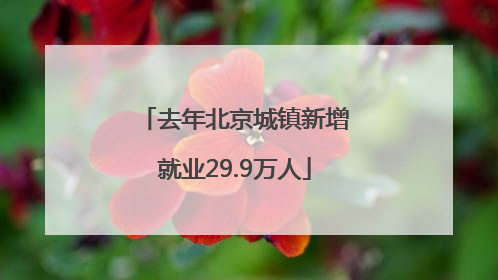 去年北京城镇新增就业29.9万人