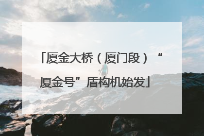 厦金大桥（厦门段）“厦金号”盾构机始发