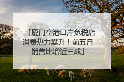 厦门空港口岸免税店消费热力攀升！前五月销售比增近三成