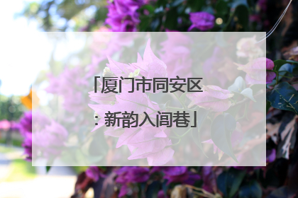 厦门市同安区：新韵入闾巷