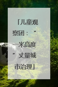 儿童观察团：“一米高度”丈量城市治理