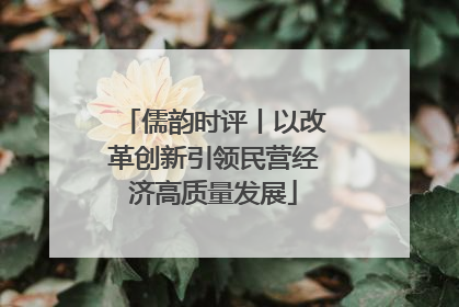 儒韵时评丨以改革创新引领民营经济高质量发展