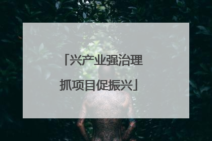 兴产业强治理 抓项目促振兴