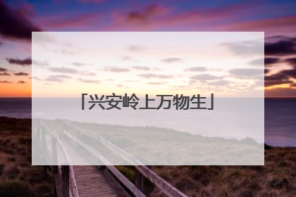 兴安岭上万物生