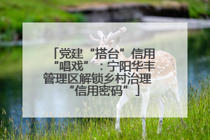 党建“搭台”信用“唱戏”：宁阳华丰管理区解锁乡村治理“信用密码”