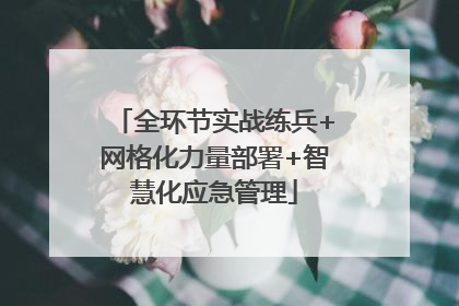 全环节实战练兵+网格化力量部署+智慧化应急管理