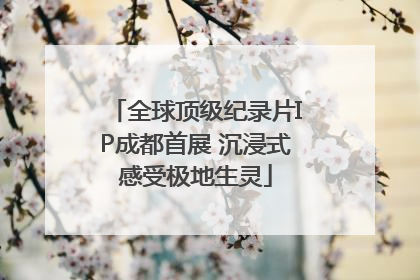 全球顶级纪录片IP成都首展 沉浸式感受极地生灵