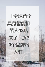 全球首个具身智能机器人4S店来了，近30个品牌将入驻