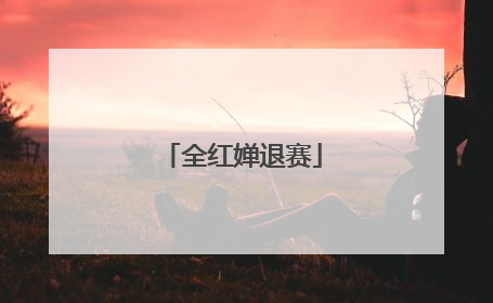 全红婵退赛