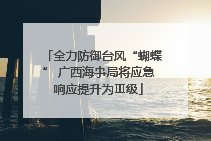 全力防御台风“蝴蝶” 广西海事局将应急响应提升为Ⅲ级
