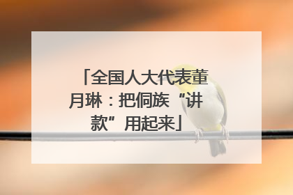 全国人大代表董月琳：把侗族“讲款”用起来