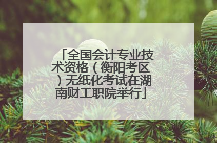 全国会计专业技术资格（衡阳考区）无纸化考试在湖南财工职院举行