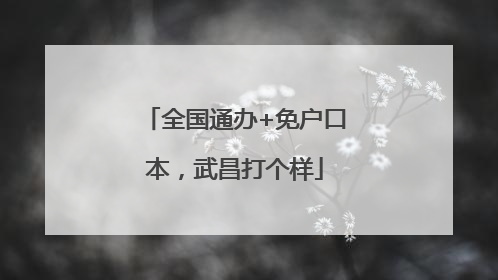全国通办+免户口本，武昌打个样
