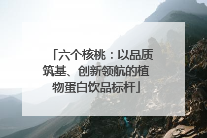 六个核桃：以品质筑基、创新领航的植物蛋白饮品标杆