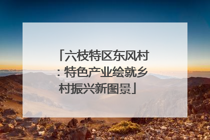 六枝特区东风村：特色产业绘就乡村振兴新图景