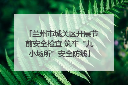 兰州市城关区开展节前安全检查 筑牢“九小场所”安全防线