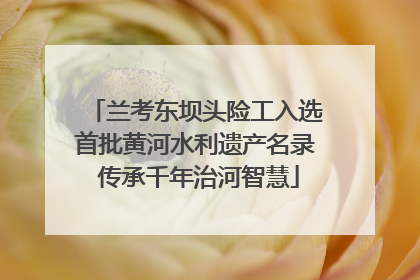 兰考东坝头险工入选首批黄河水利遗产名录 传承千年治河智慧