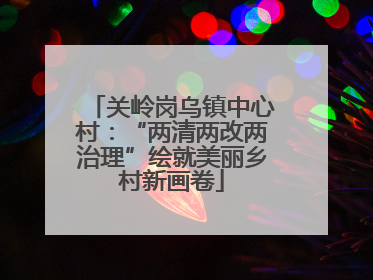 关岭岗乌镇中心村：“两清两改两治理”绘就美丽乡村新画卷