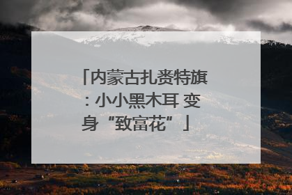 内蒙古扎赉特旗：小小黑木耳 变身“致富花”