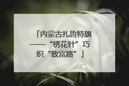 内蒙古扎鲁特旗——“绣花针”巧织“致富路”